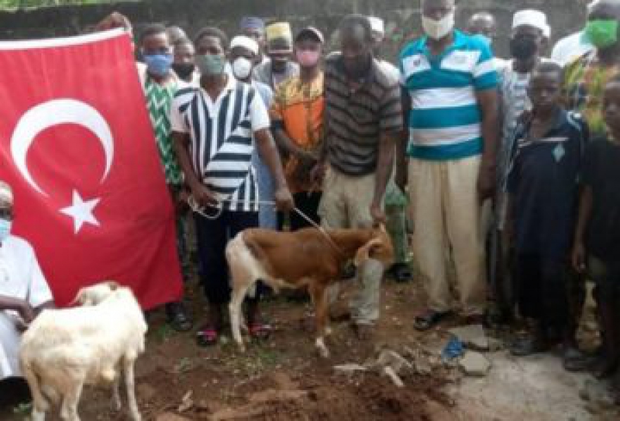 Togo’da Ayasofya’nın ibadete açılması üzerine kurban kestiler